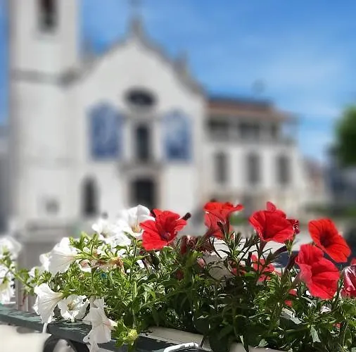 Feel Aveiro - Church View
